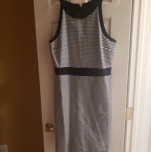 Ann Taylor Dress